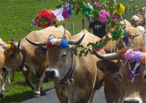 Association Sud Aubrac